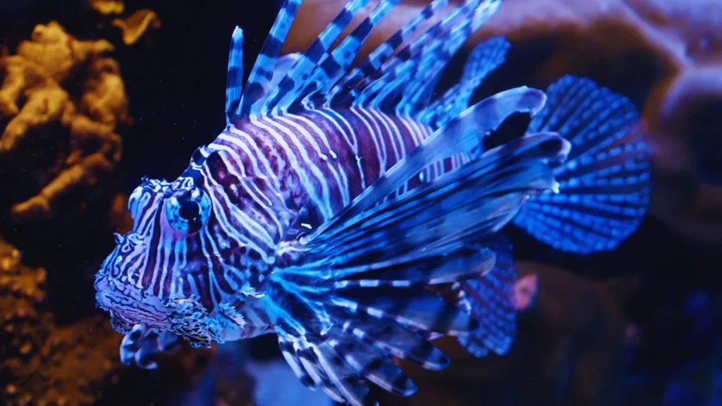 Adorable Blue Fish Names