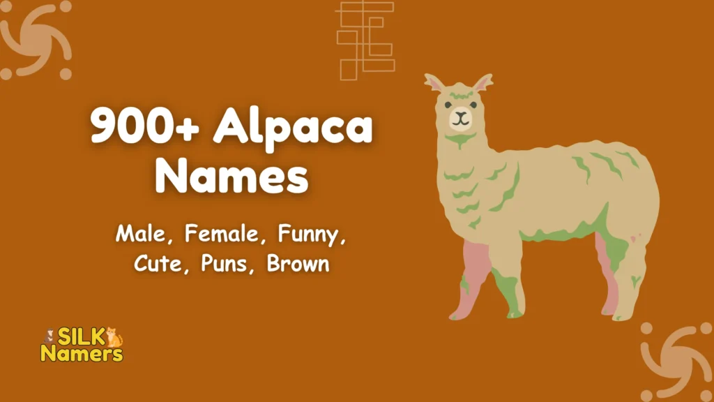 Alpaca Names