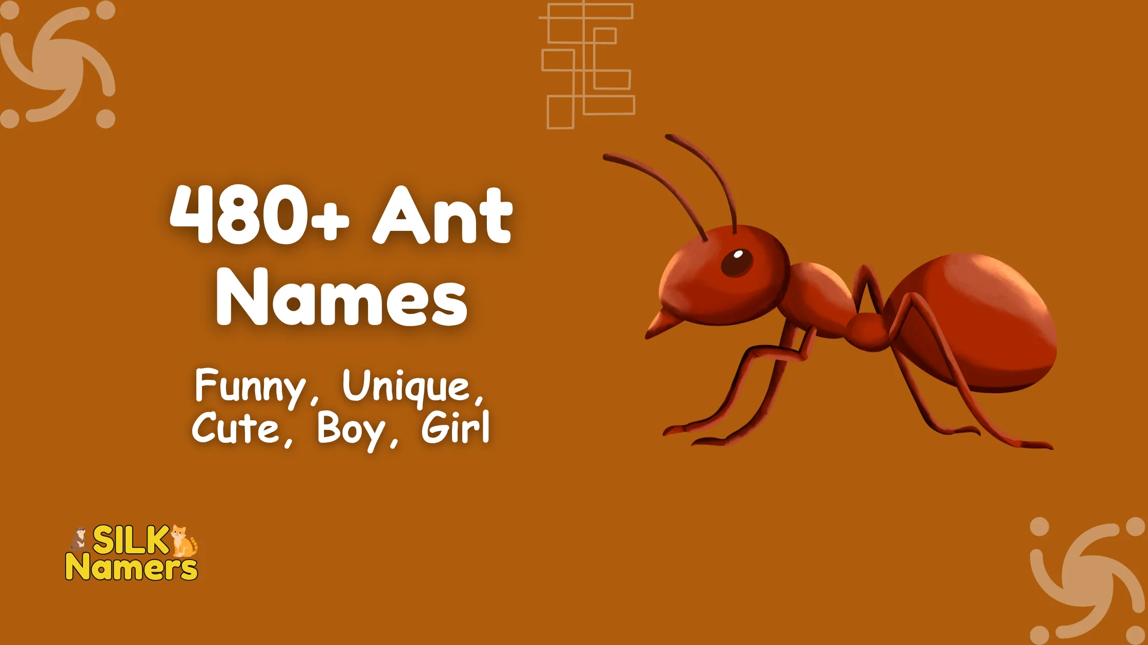 Ant Names