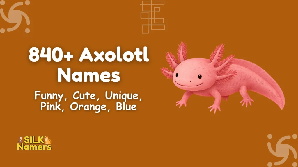 Axolotl Names