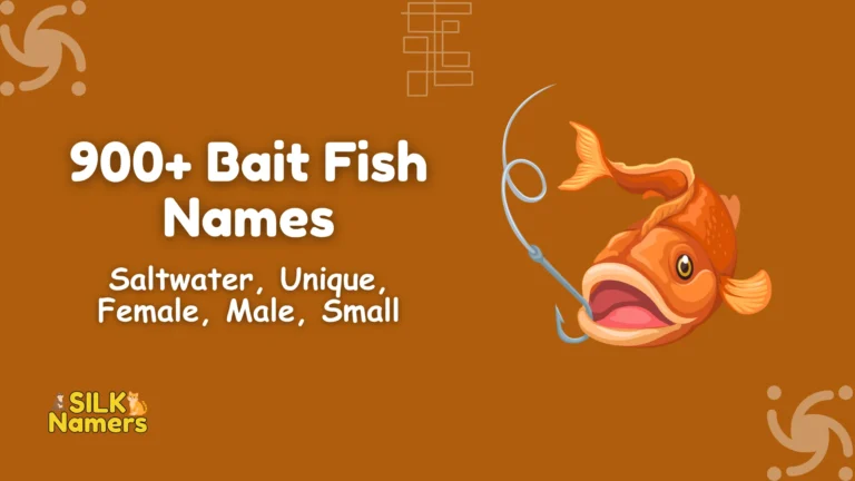 Bait Fish Names