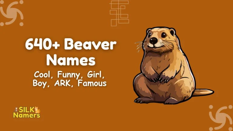 Beaver Names