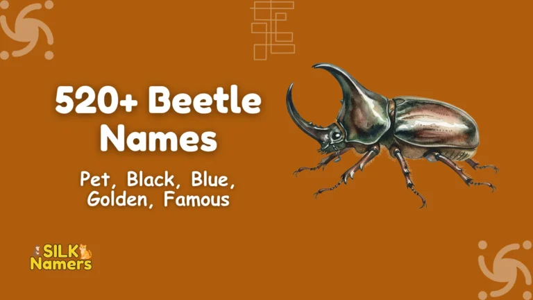 Beetle Names