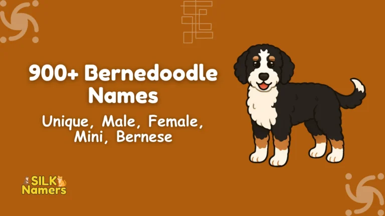 Bernedoodle Names