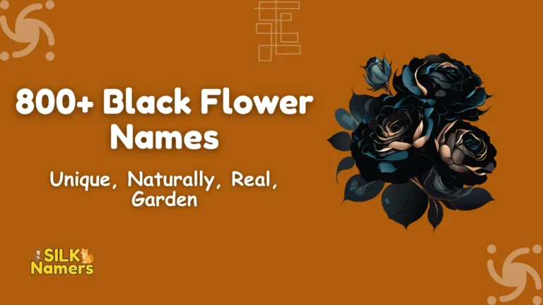 Black Flower Names