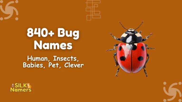 Bug Names