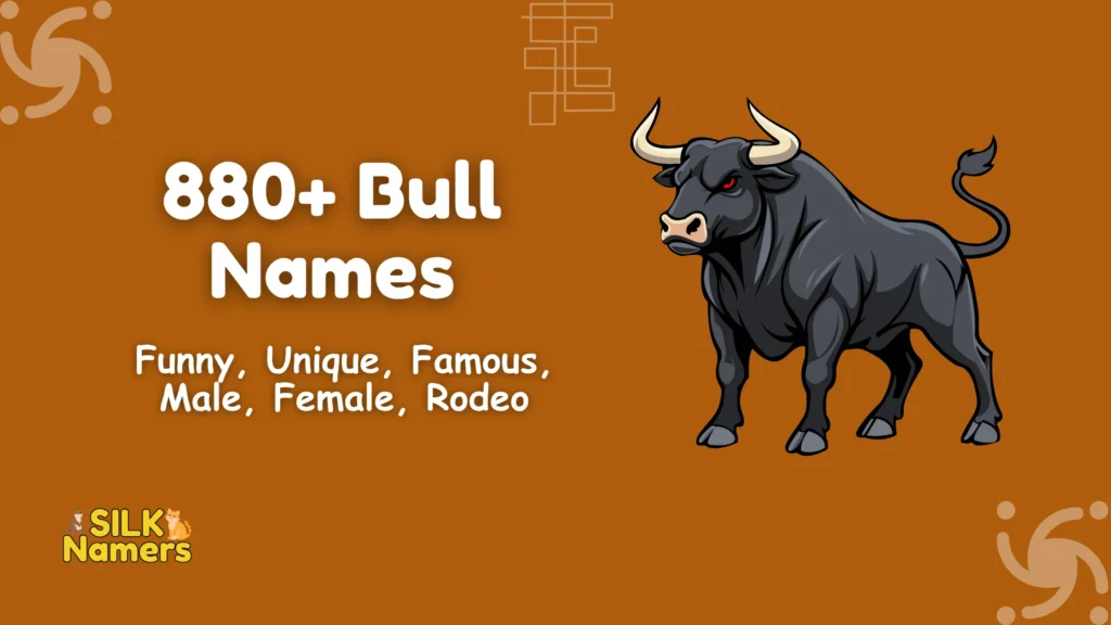 Bull Names