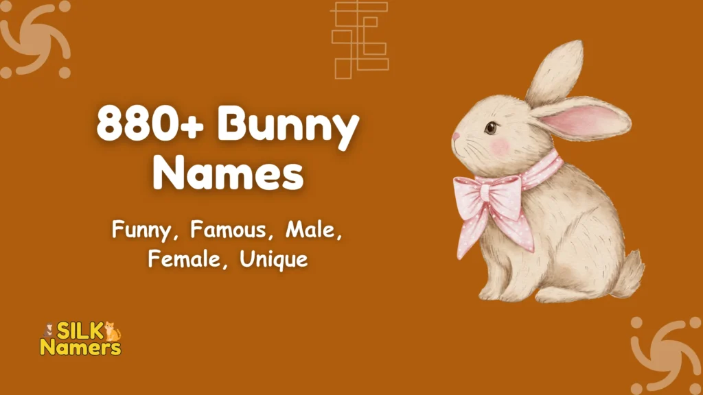 Bunny Names