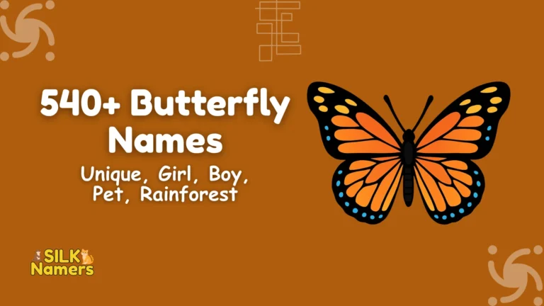 Butterfly Names