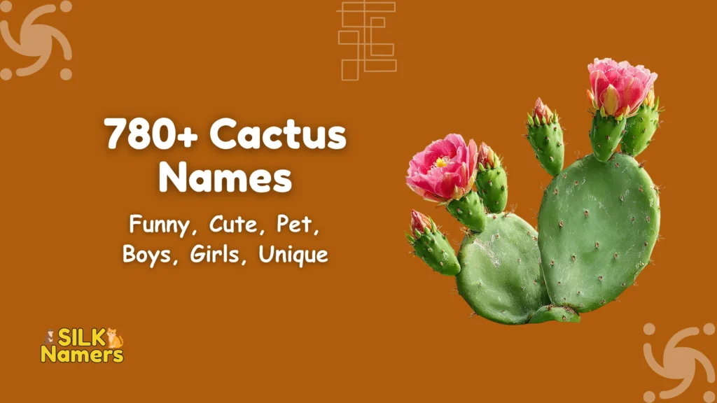 Cactus Names
