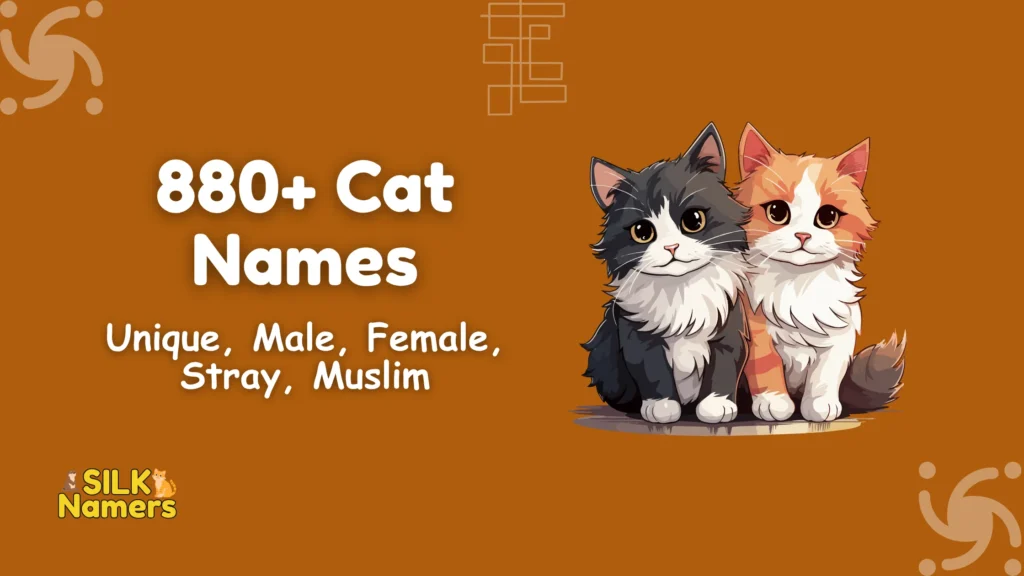 Cat Names