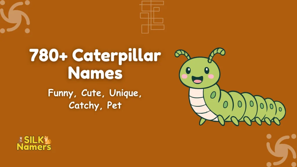 Caterpillar Names