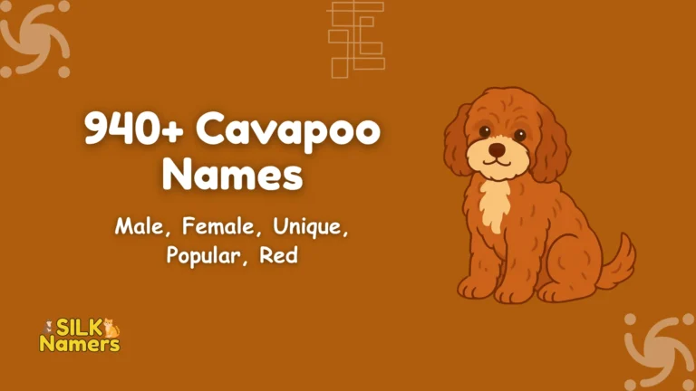 Cavapoo Names