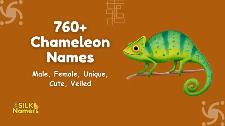 Chameleon Names