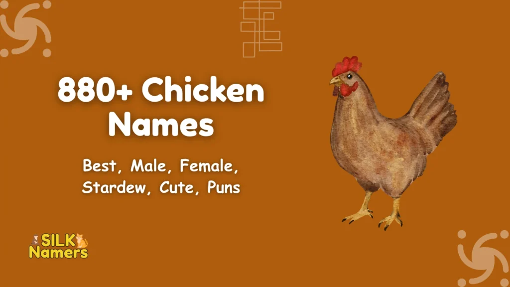 Chicken Names