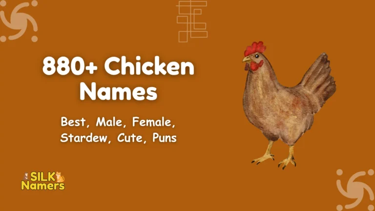 Chicken Names