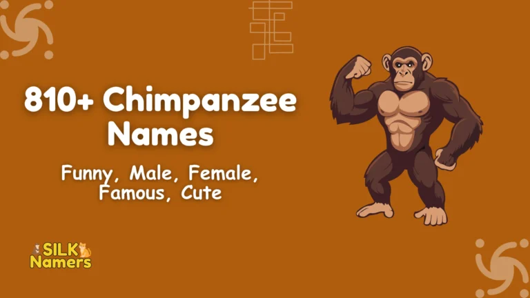 Chimpanzee Names