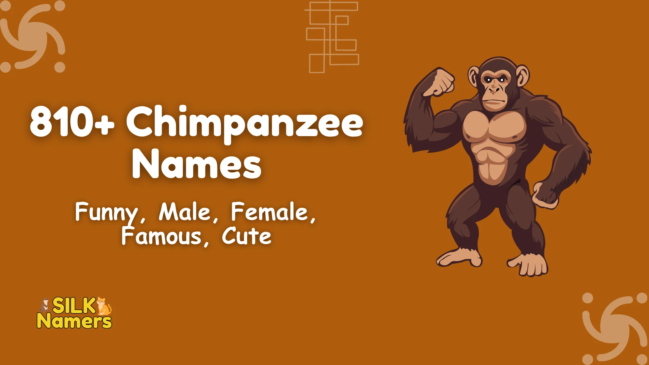 Chimpanzee Names