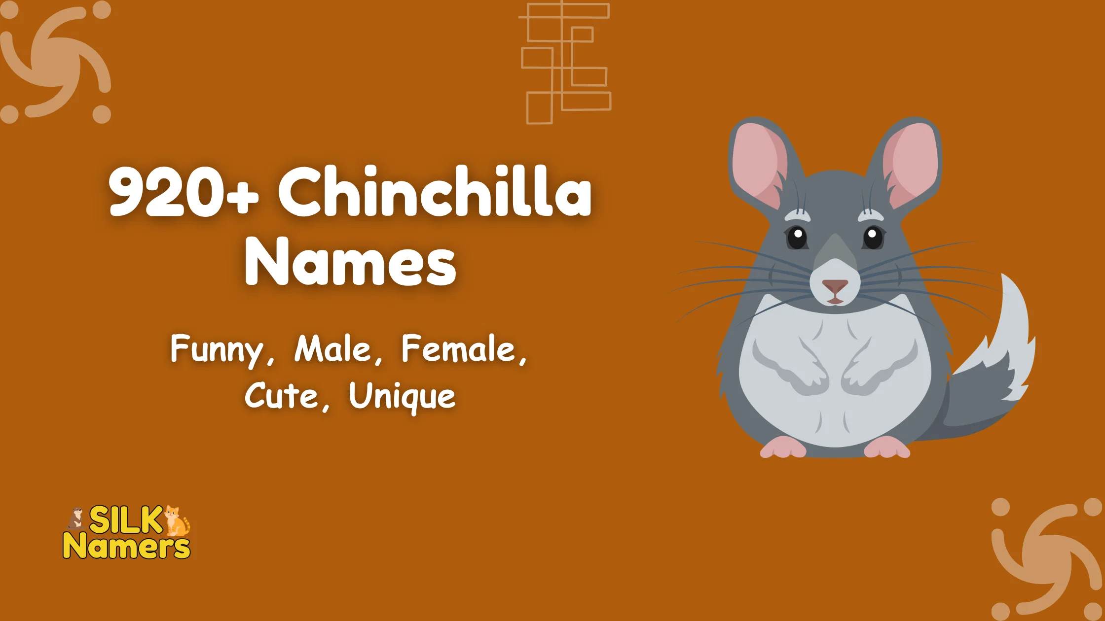 Chinchilla Names