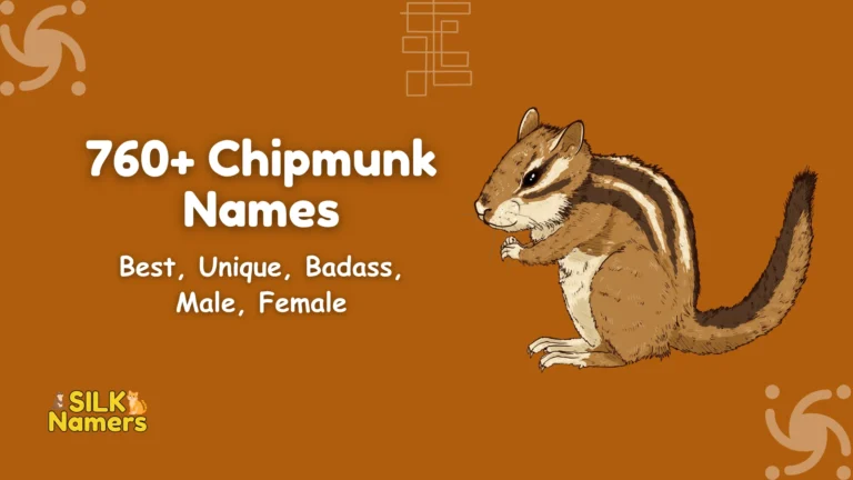 Chipmunk Names