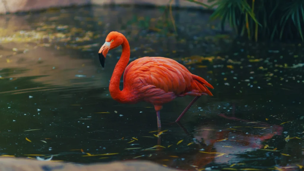 Cool Flamingo Names