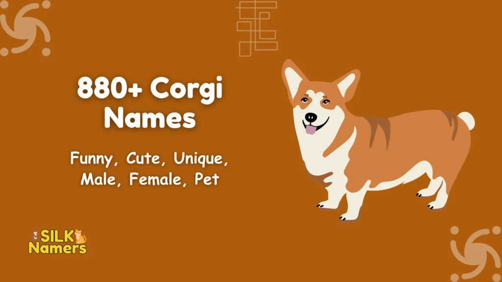 Corgi Names