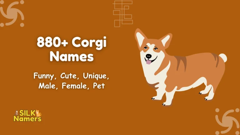 Corgi Names