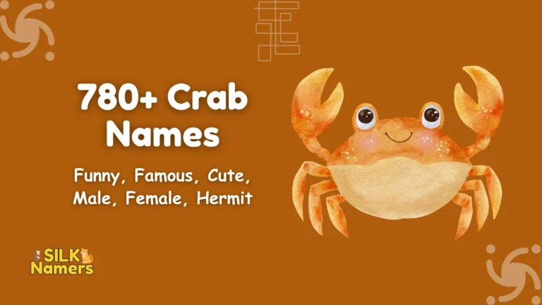 Crab Names