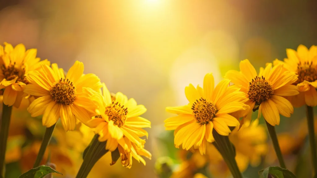 Creative Yellow Flower Names