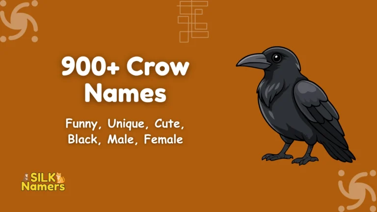 Crow Names
