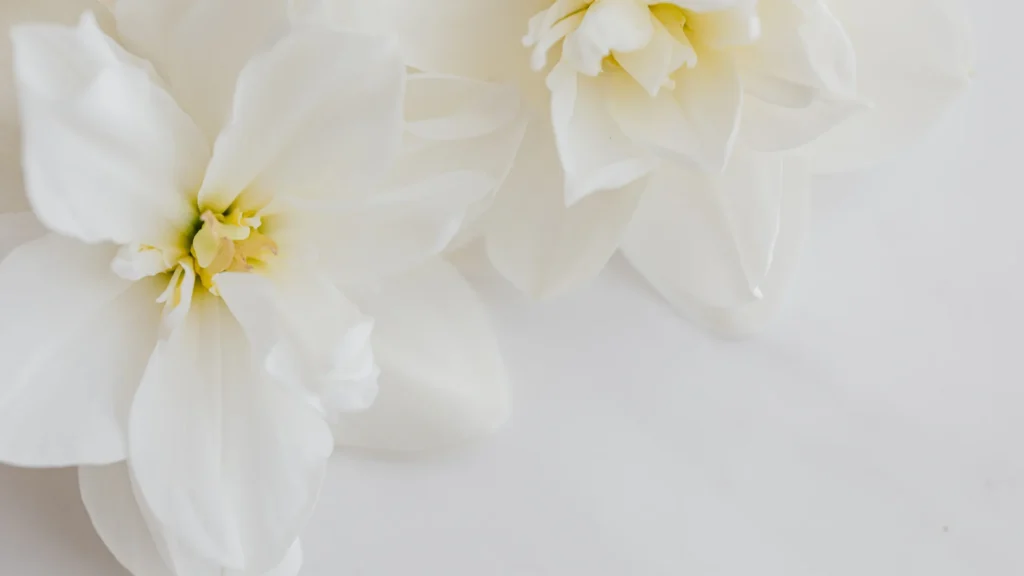 Cute White Flower Names