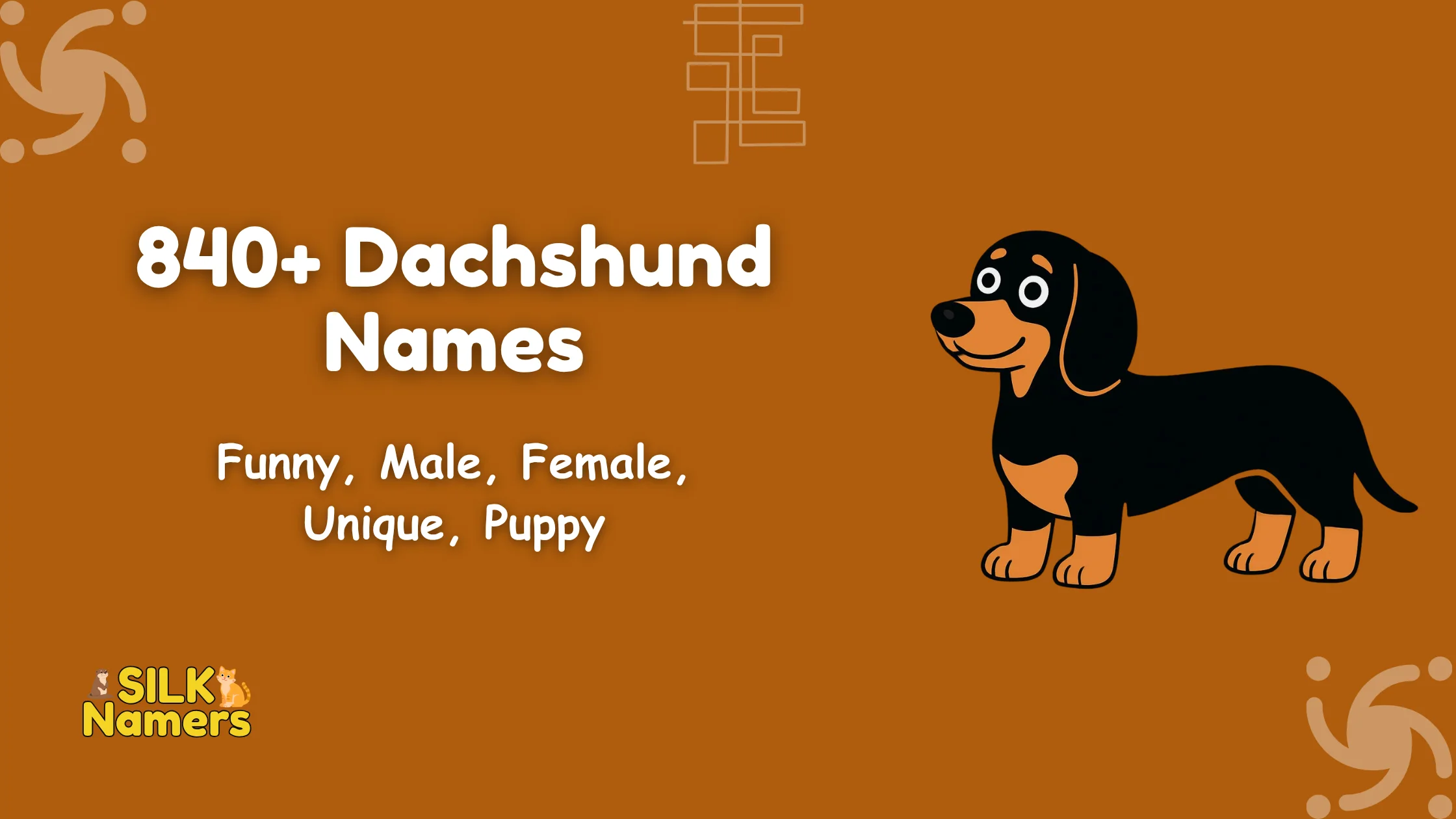 Dachshund Names