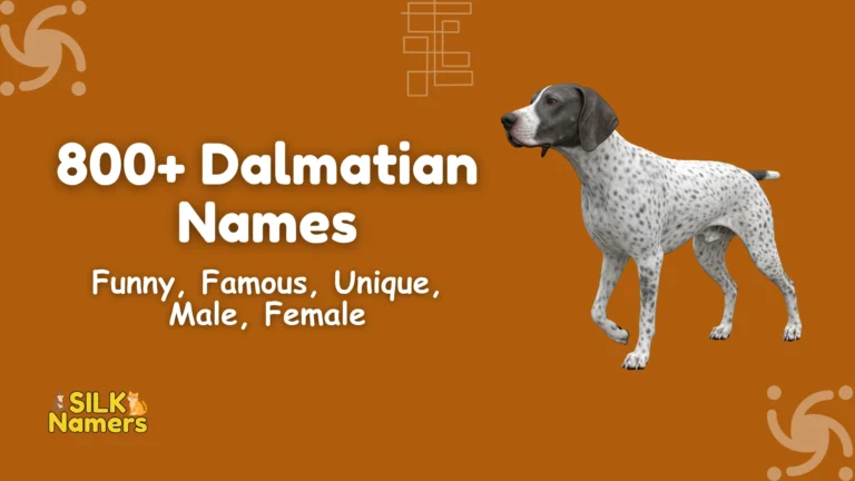 Dalmatian Names