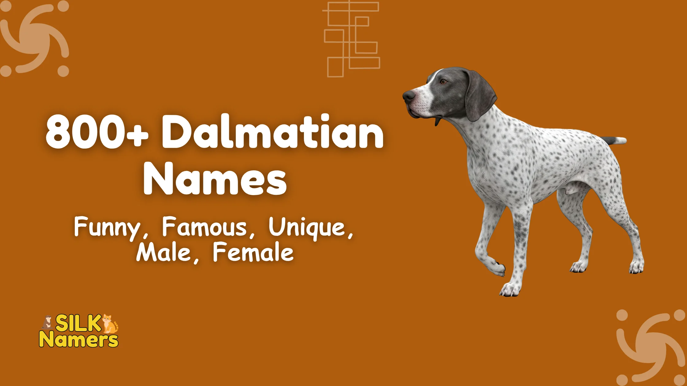 Dalmatian Names