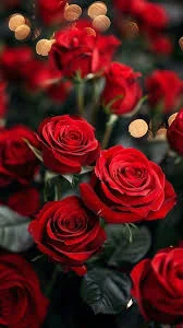 Dark Red Flowers Names