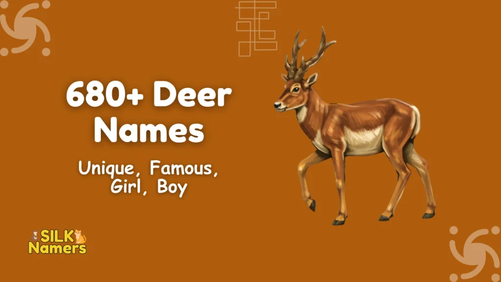 Deer Names