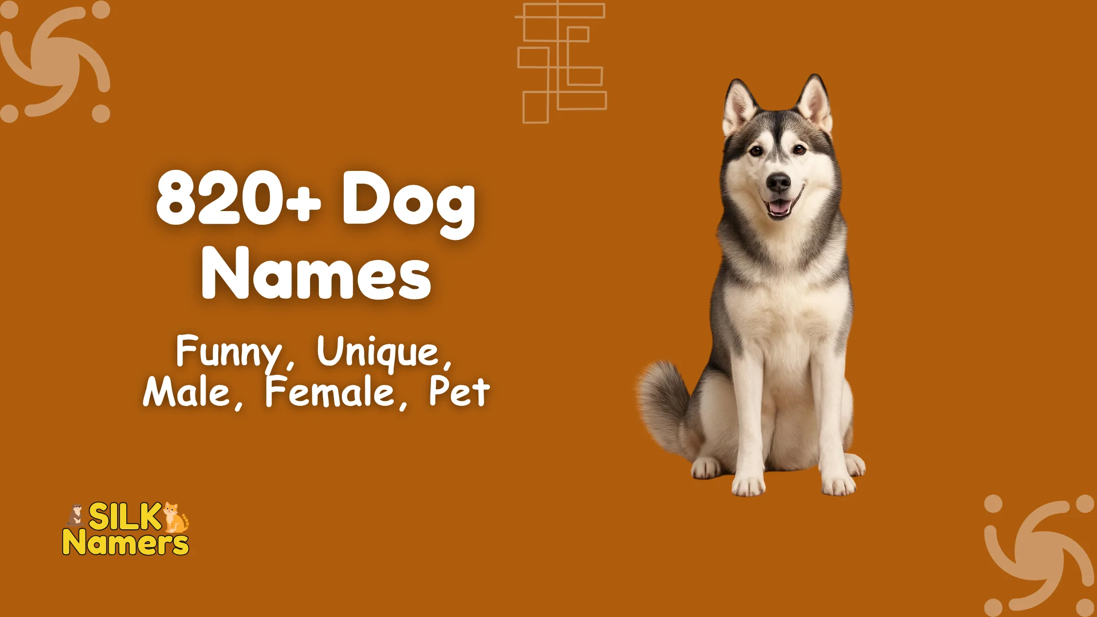Dog Names