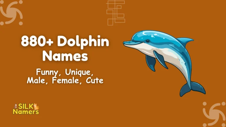 Dolphin Names