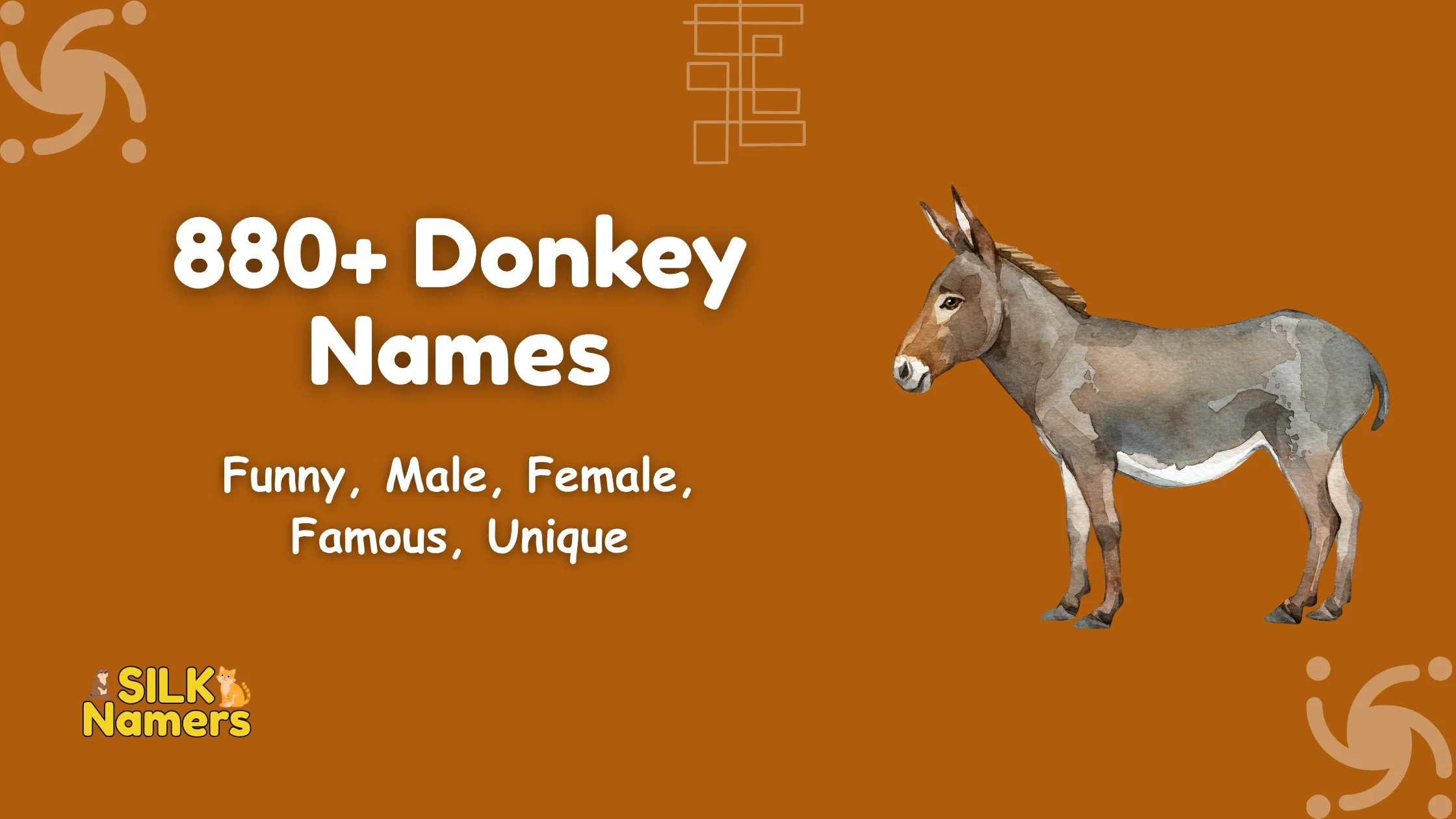 Donkey Names