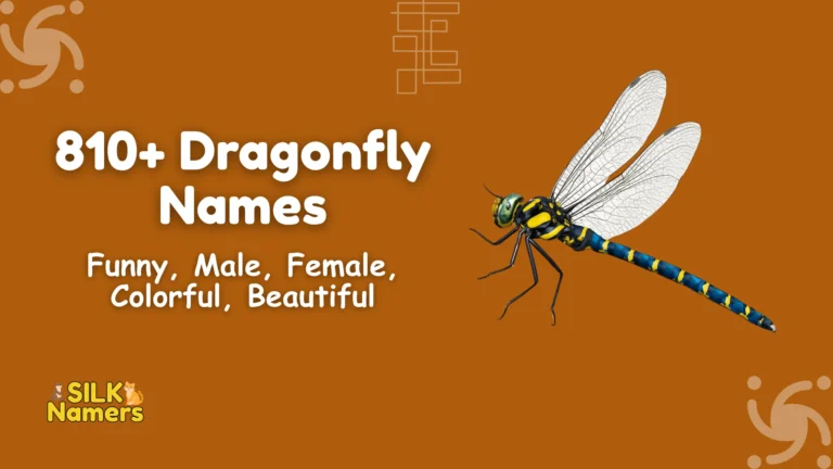 Dragonfly Names