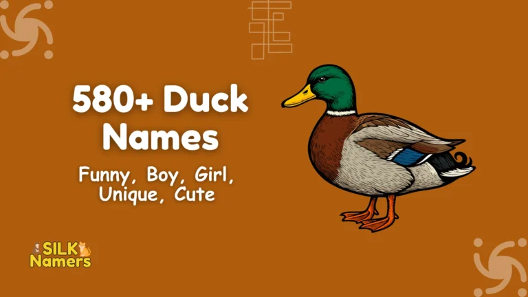 Duck Names