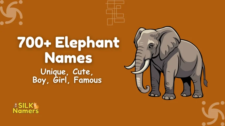 Elephant Names