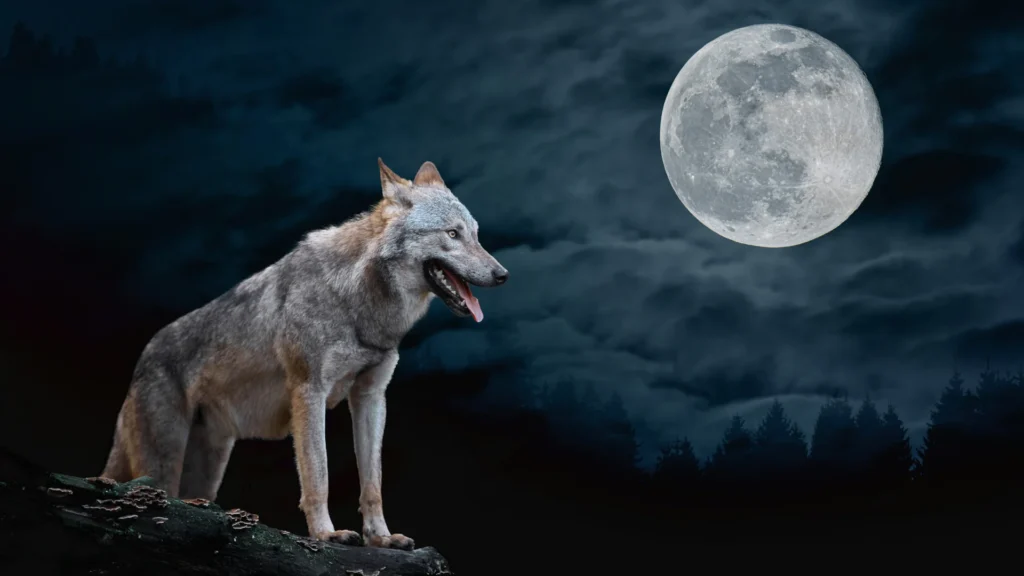 Famous Direwolf Names