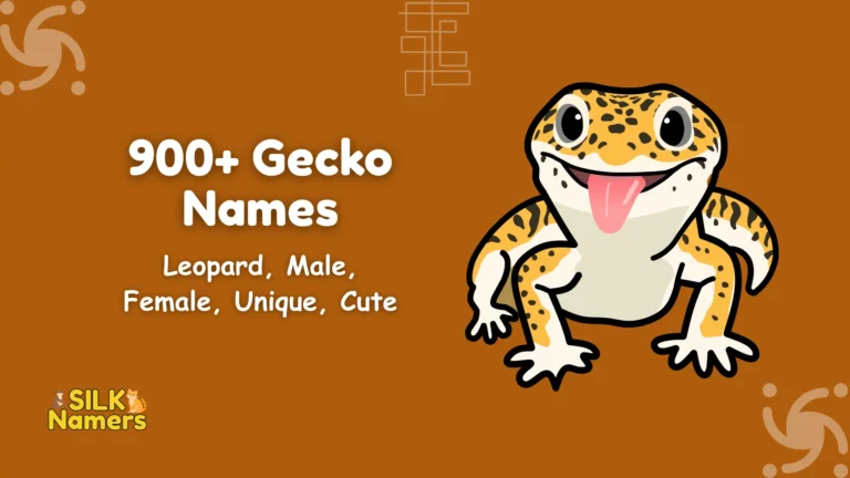 Gecko Names