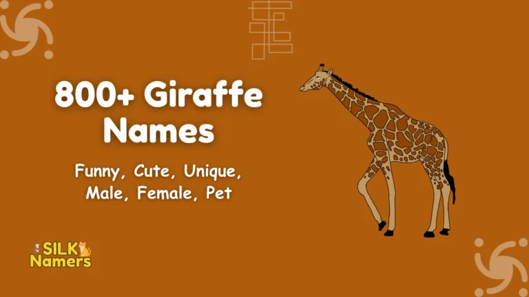 Giraffe Names