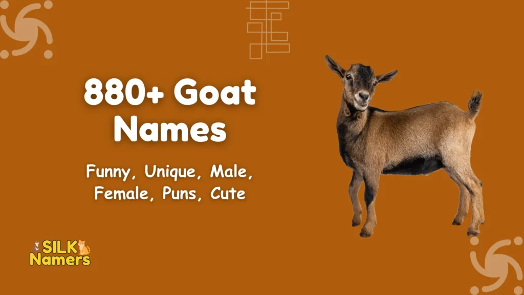 Goat Names