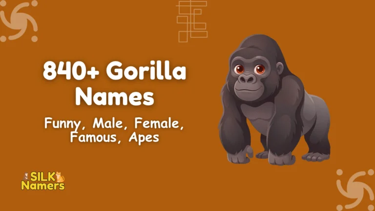 Gorilla Names