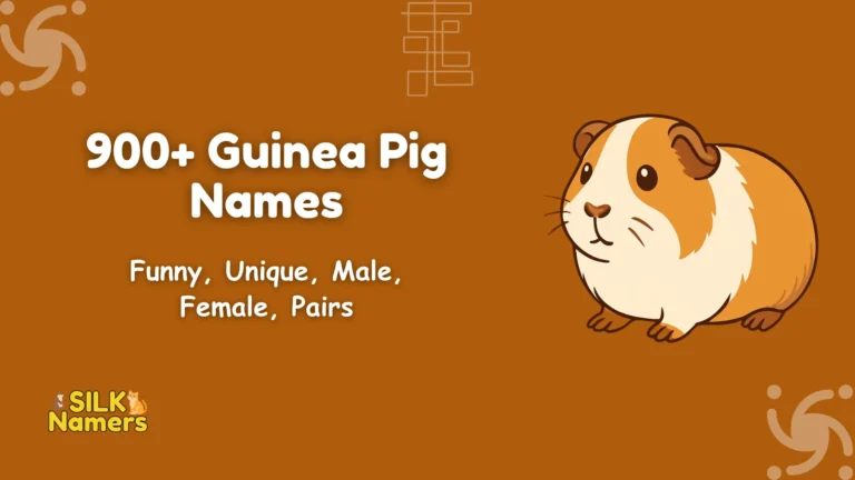 Guinea Pig Names