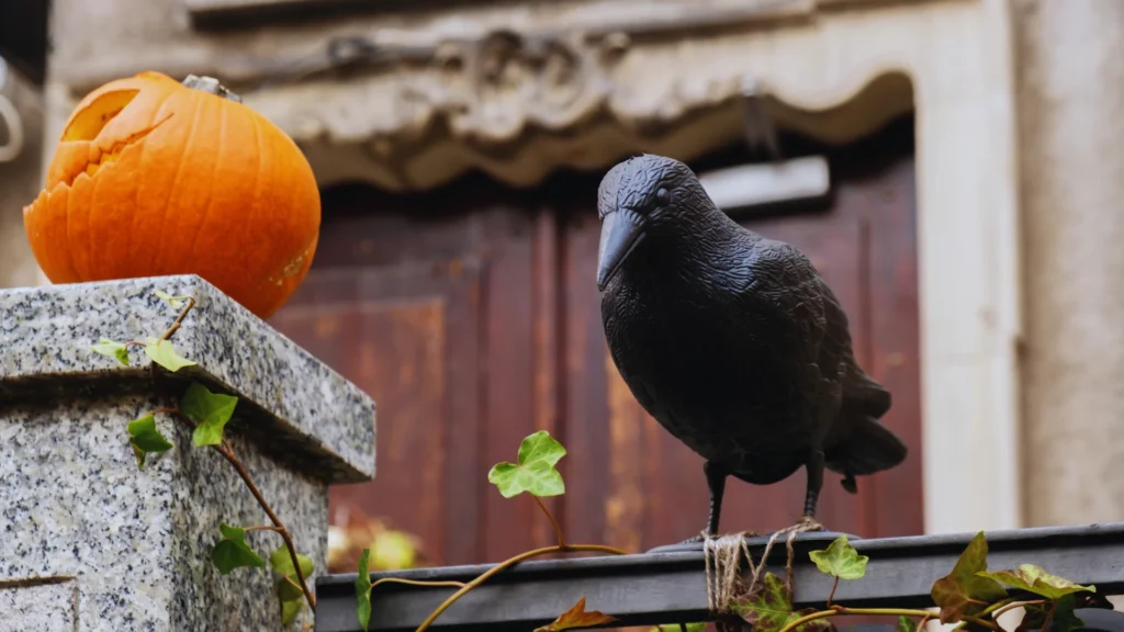 Halloween Raven Names