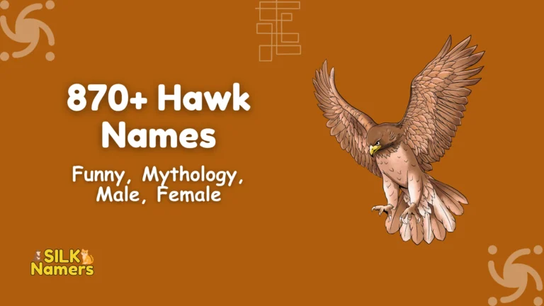 Hawk Names